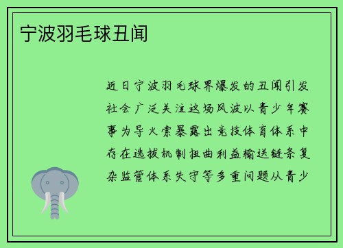 宁波羽毛球丑闻