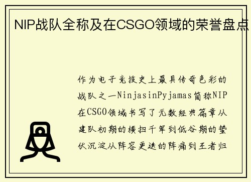 NIP战队全称及在CSGO领域的荣誉盘点